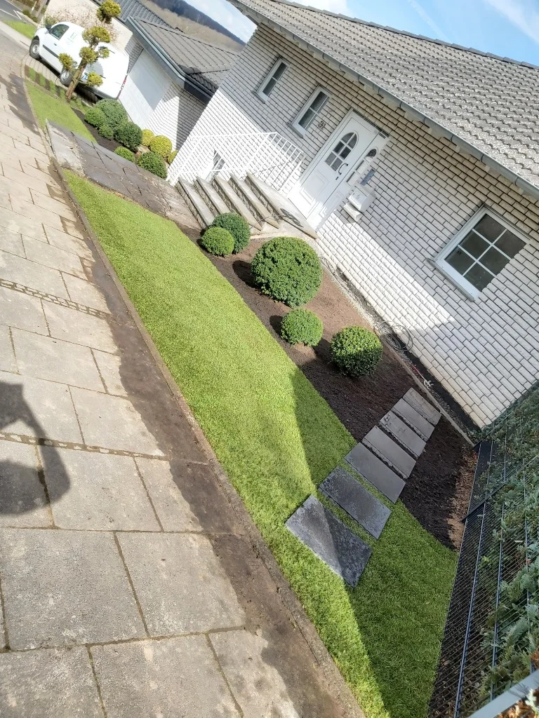 Professionelle Gartengestaltung mit Rollrasen und Formschnitt-Büschen in Hennef
