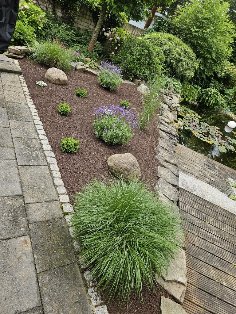 Teichumbau zu Beet Hennef